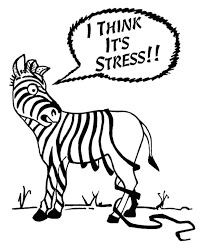 Home. Stress zebra