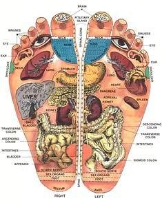 What is Reflexology?. reflex map